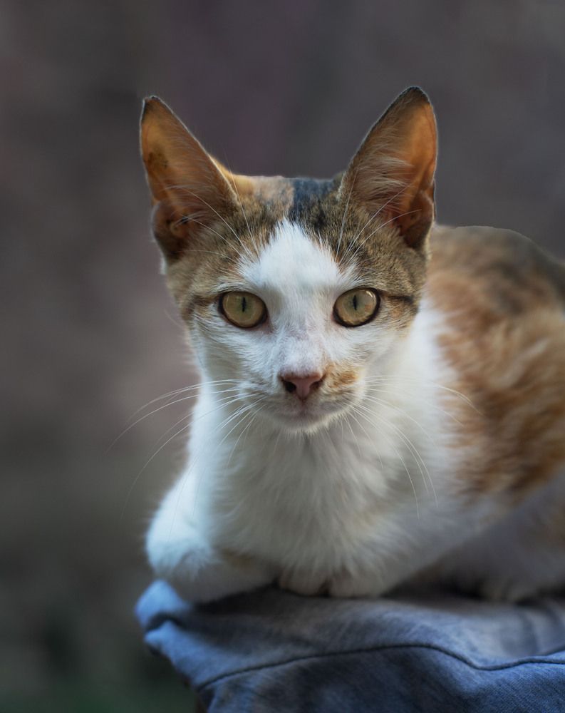 Photograph by María Laura Giorda