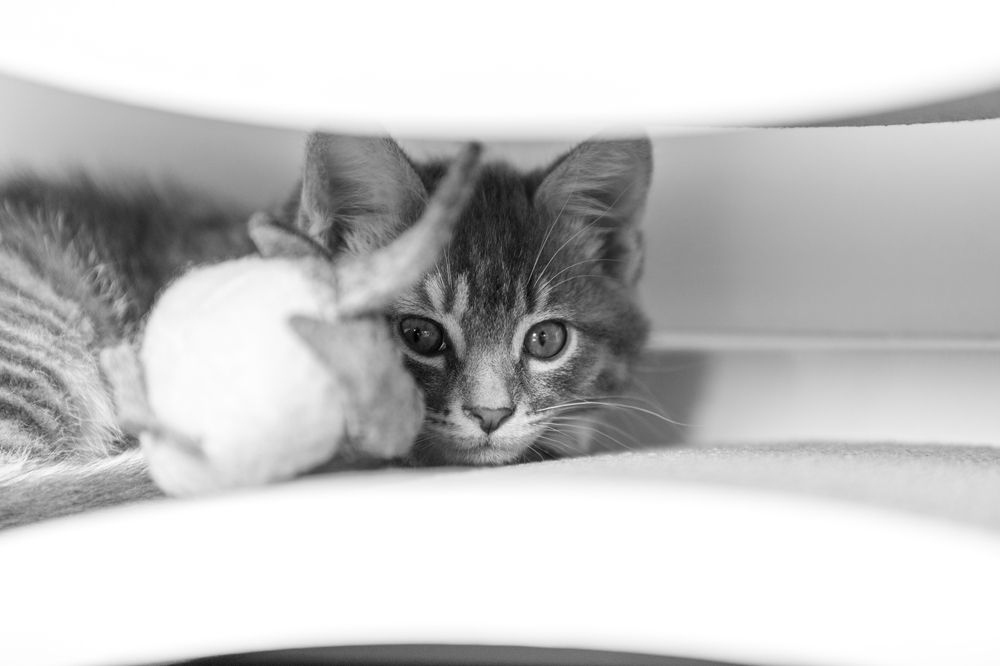 Photograph by Катерина Давыдова