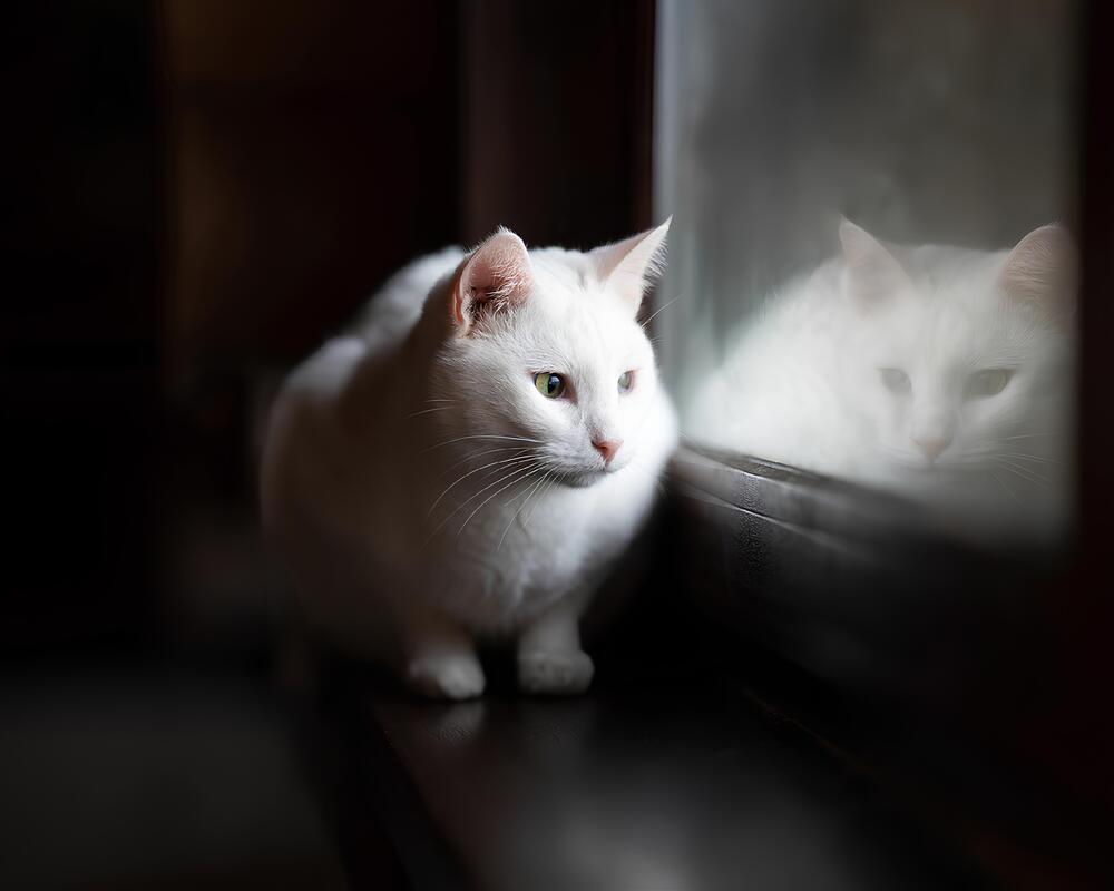 Photograph by Данил Шауба