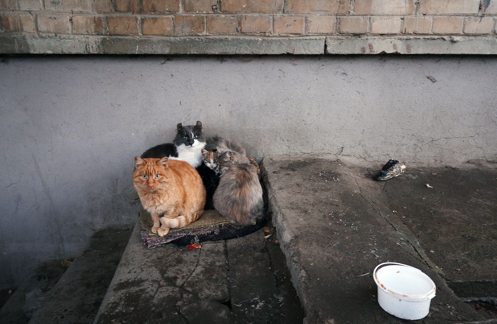 Photograph by Prometej