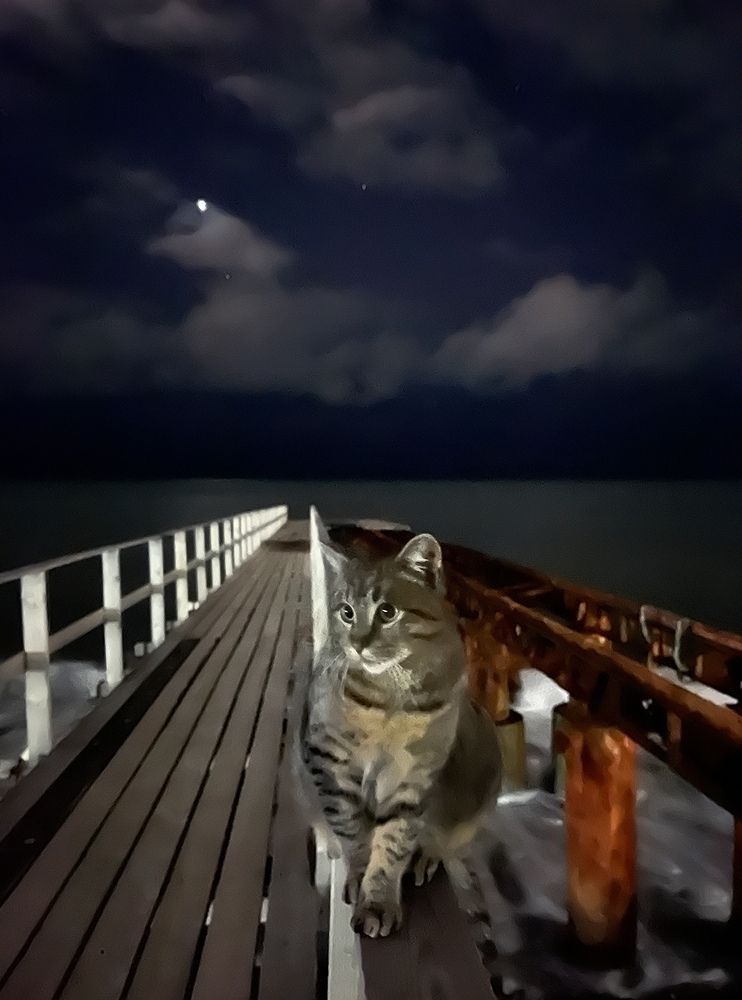 Photograph by Prometej