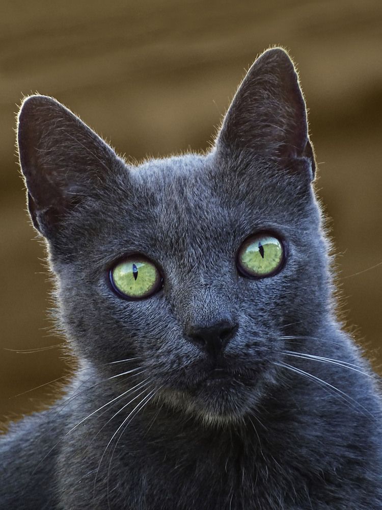 Photograph by María Laura Giorda