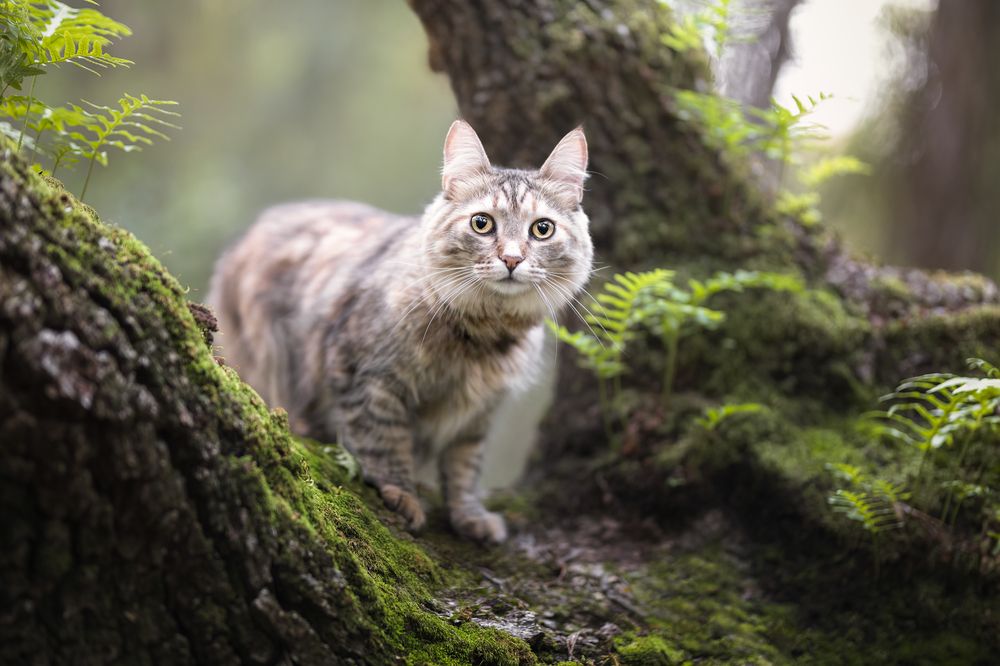 Photograph by Leticia Hernandez