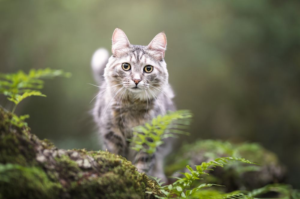 Photograph by Leticia Hernandez