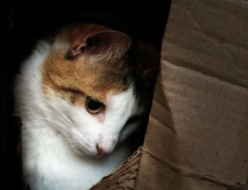 Photograph by María Laura Giorda