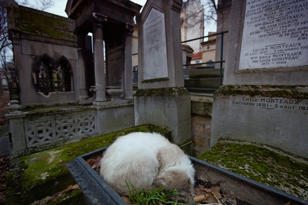 Photograph by Prometej