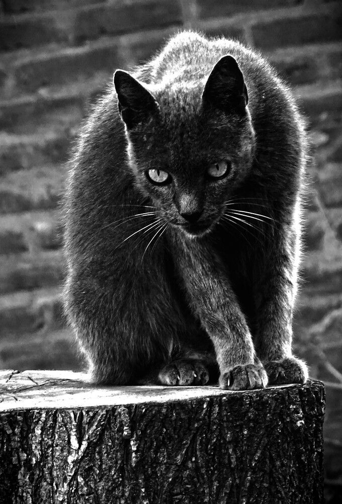 Photograph by María Laura Giorda