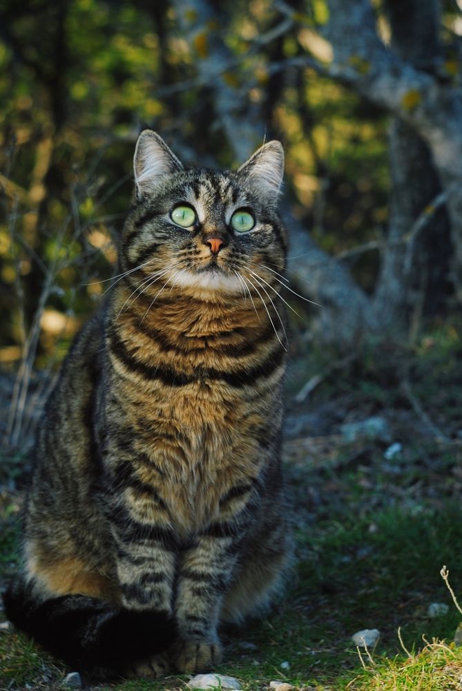 Photograph by Дмитрий Плаксин