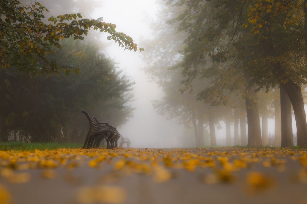 Photograph by Vladimir Petukhov