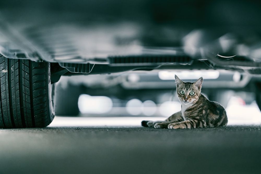 Photograph by Jeffrey Yan