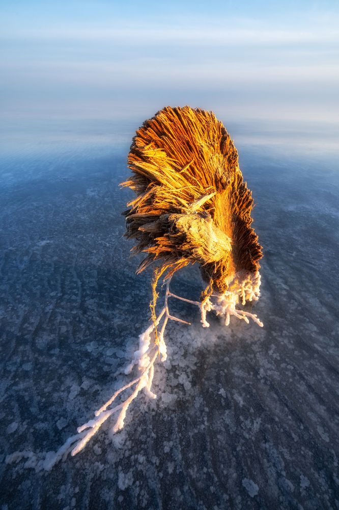 Photograph by Михаил Харитонычев