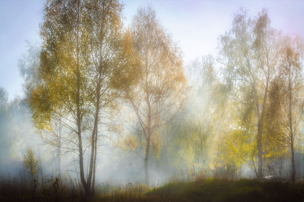 Photograph by Юлия Лушникова