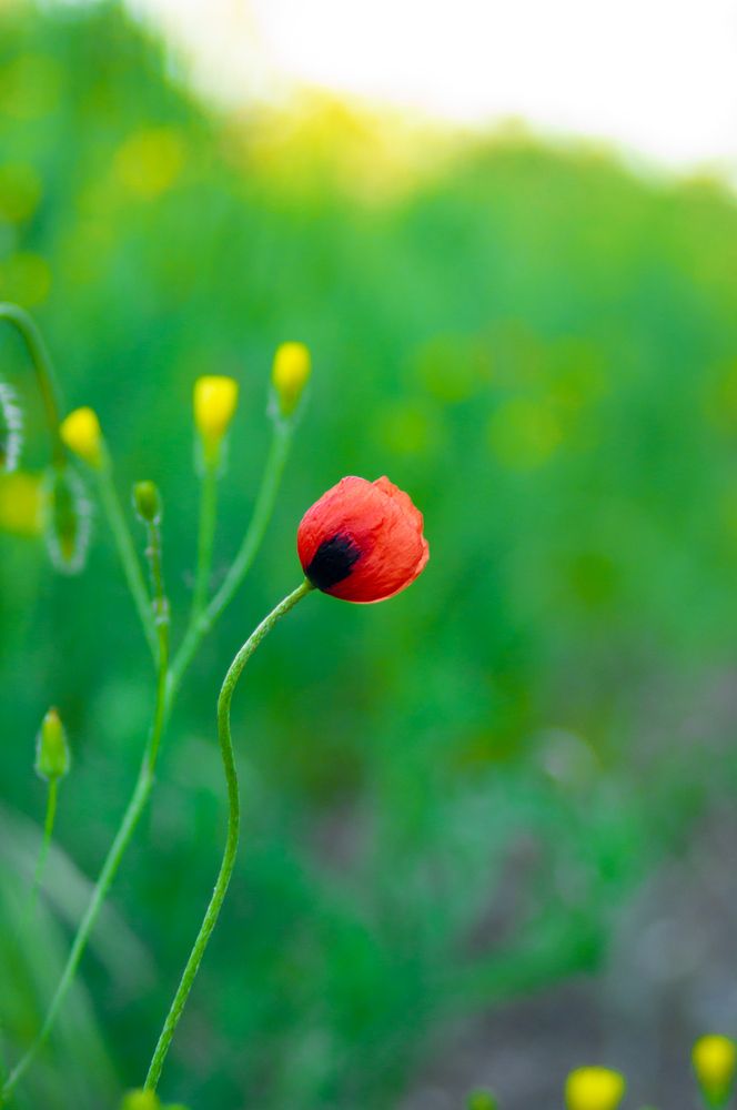 Photograph by Евгений Апухтин