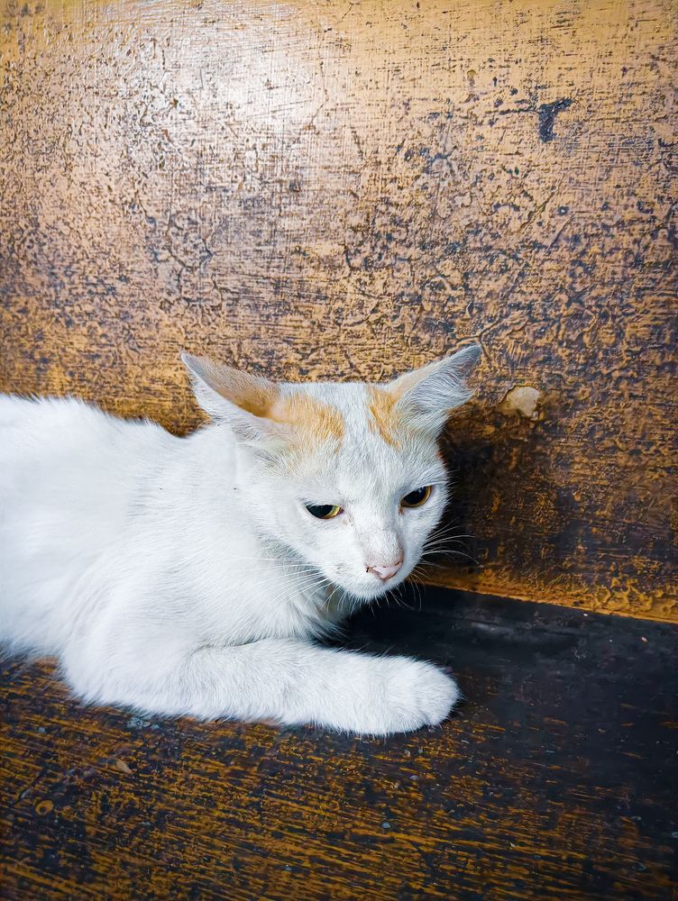 Photograph by Ayush Sah