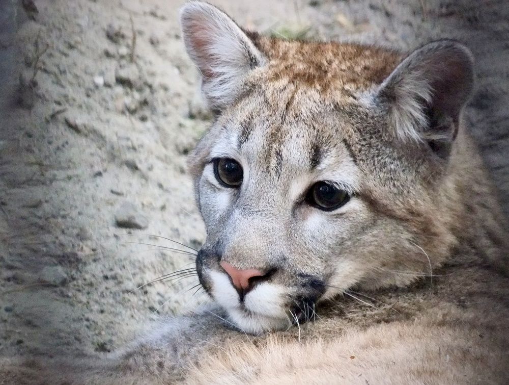 Photograph by Татьяна Шитлина