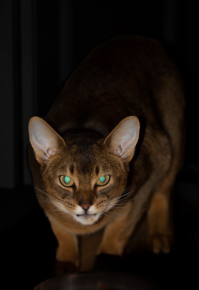 Photograph by Алёна