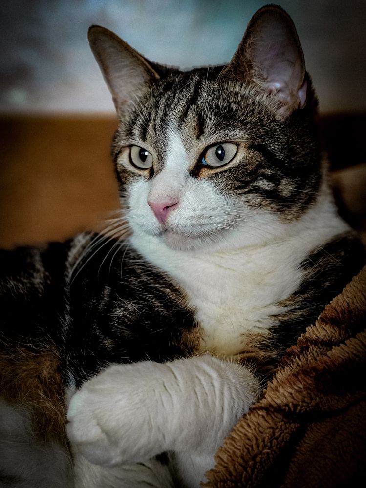 Photograph by Дмитрий Малышев