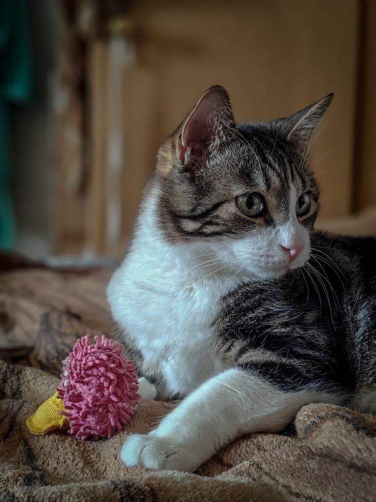 Photograph by Дмитрий Малышев