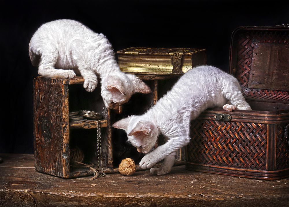 Photograph by Alexander Sviridov