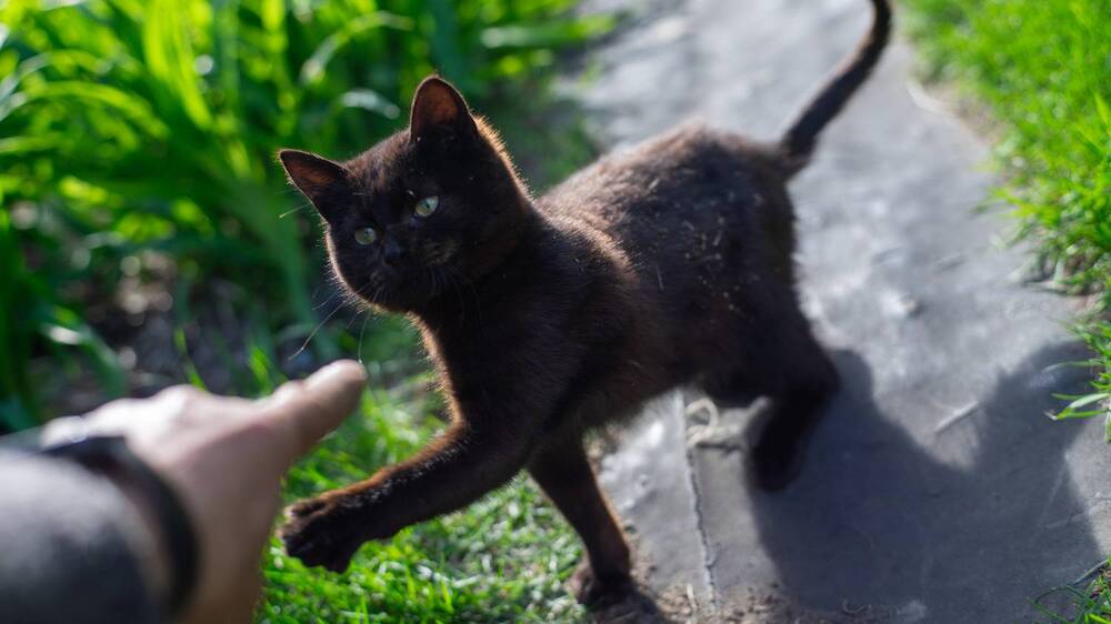 Фотография автора Оликов Владимир