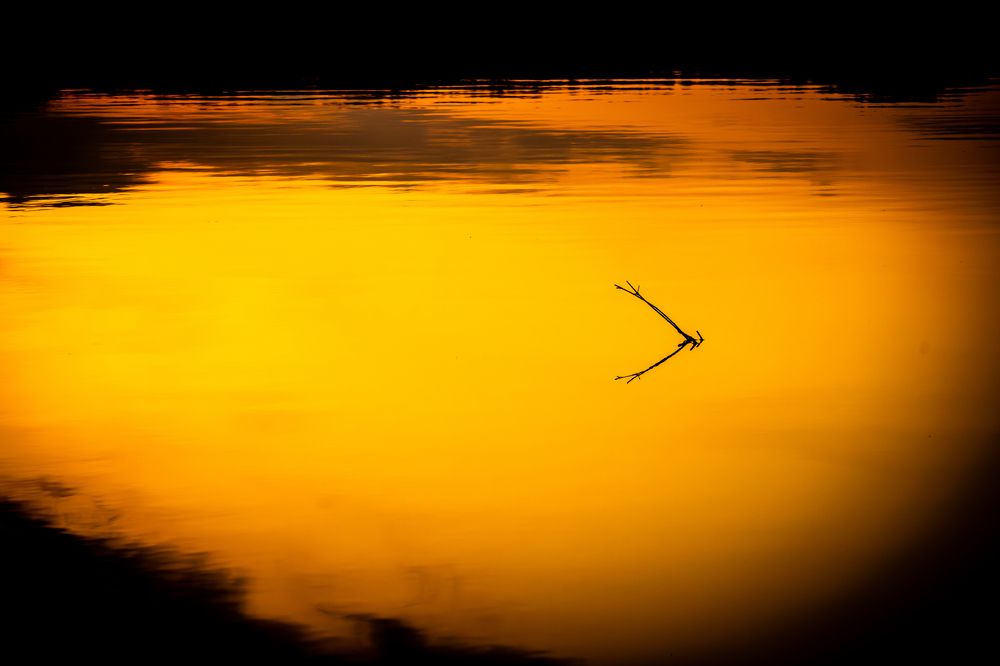 Photograph by ryuichi