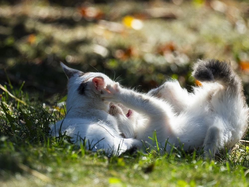 Photograph by Ignatov Yury