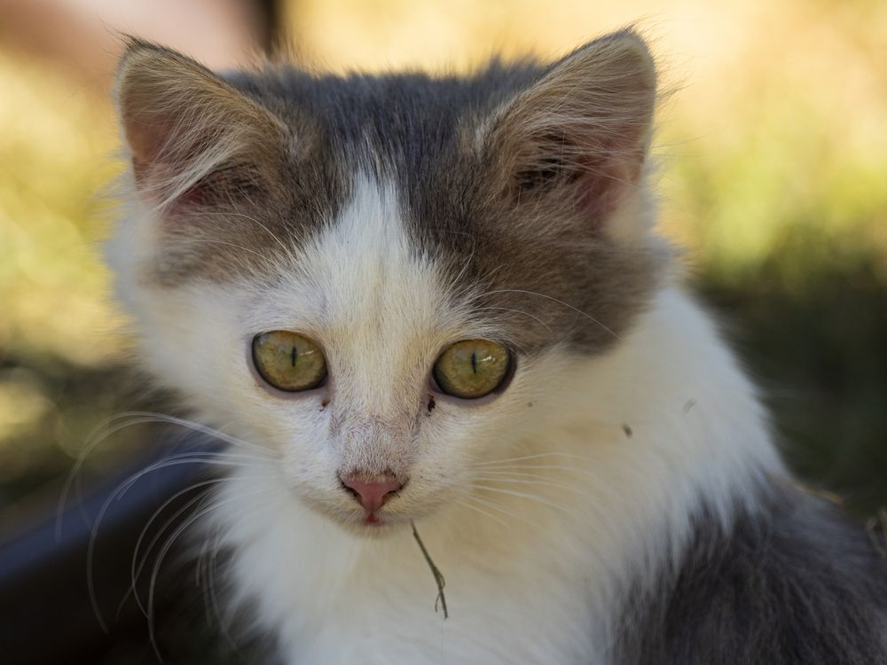 Photograph by Ignatov Yury