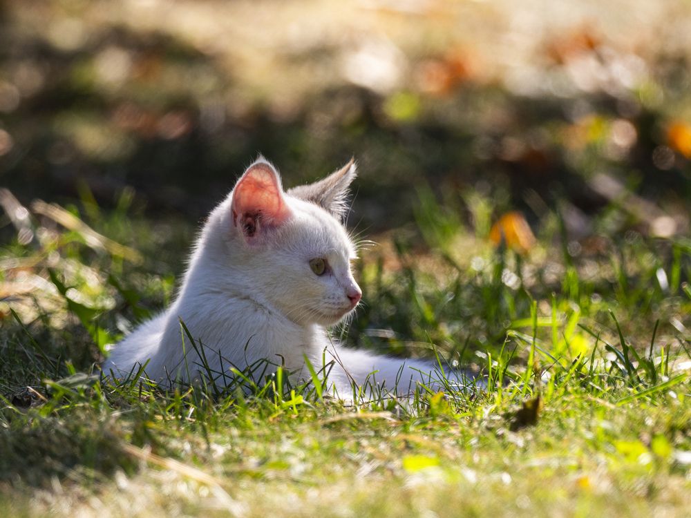 Photograph by Ignatov Yury