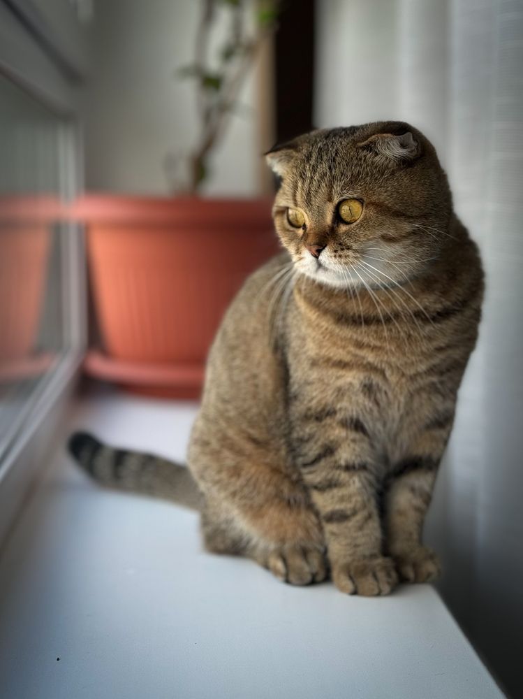 Photograph by Ekaterina Slepneva