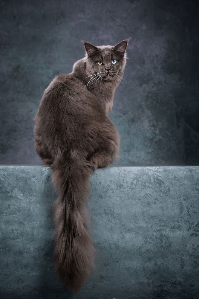 Photograph by Dina Damotseva