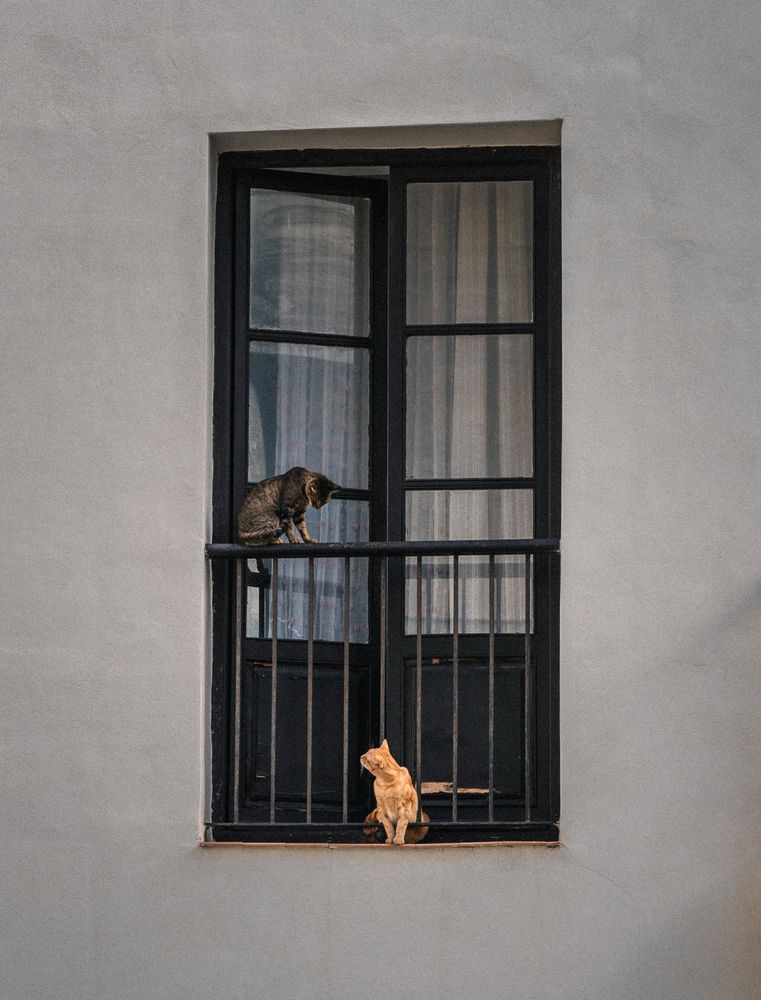 Photograph by Kononov Anatolii