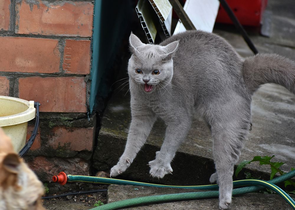 Photograph by Владимир Воложинский