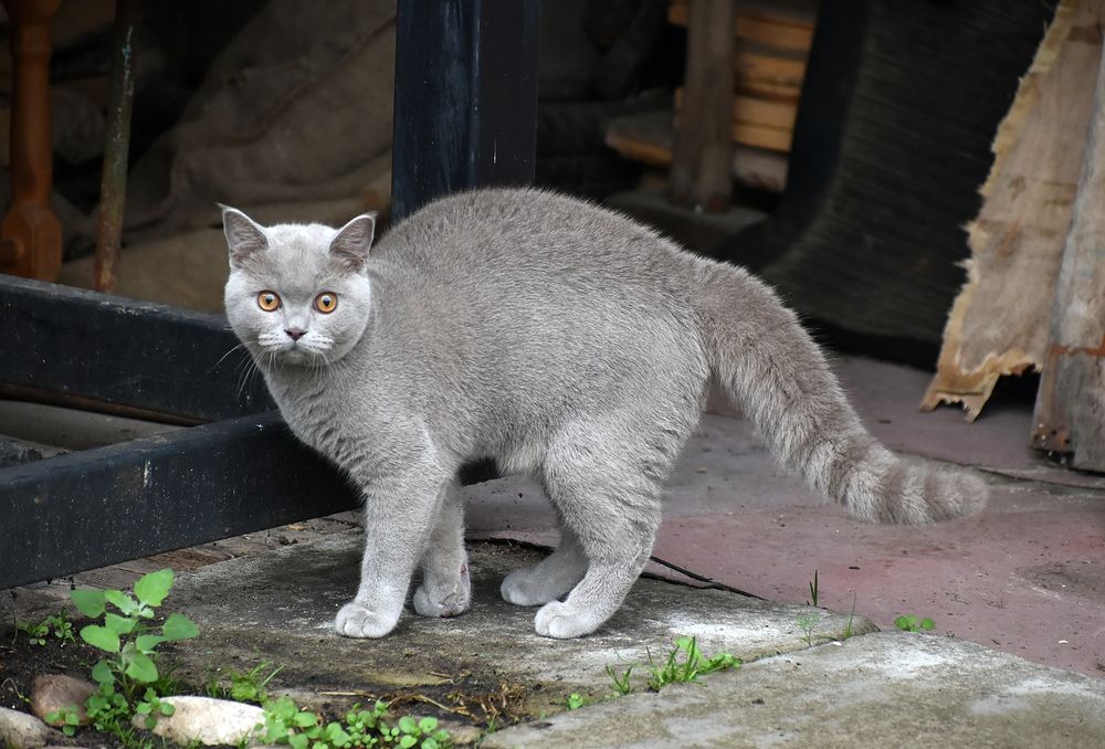 Photograph by Владимир Воложинский