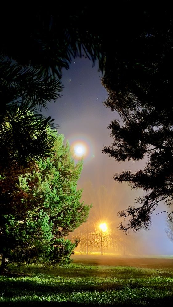Photograph by 