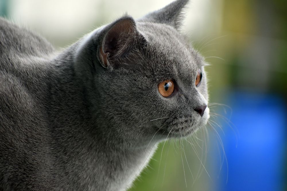 Photograph by Владимир Воложинский