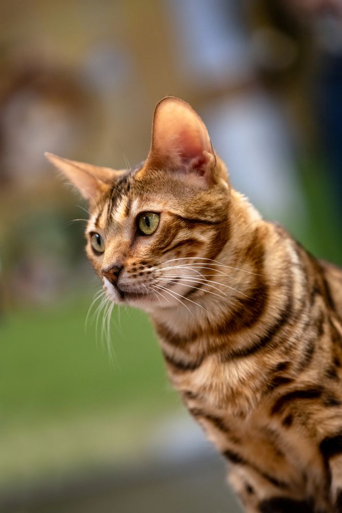 Photograph by Сергей Газизов