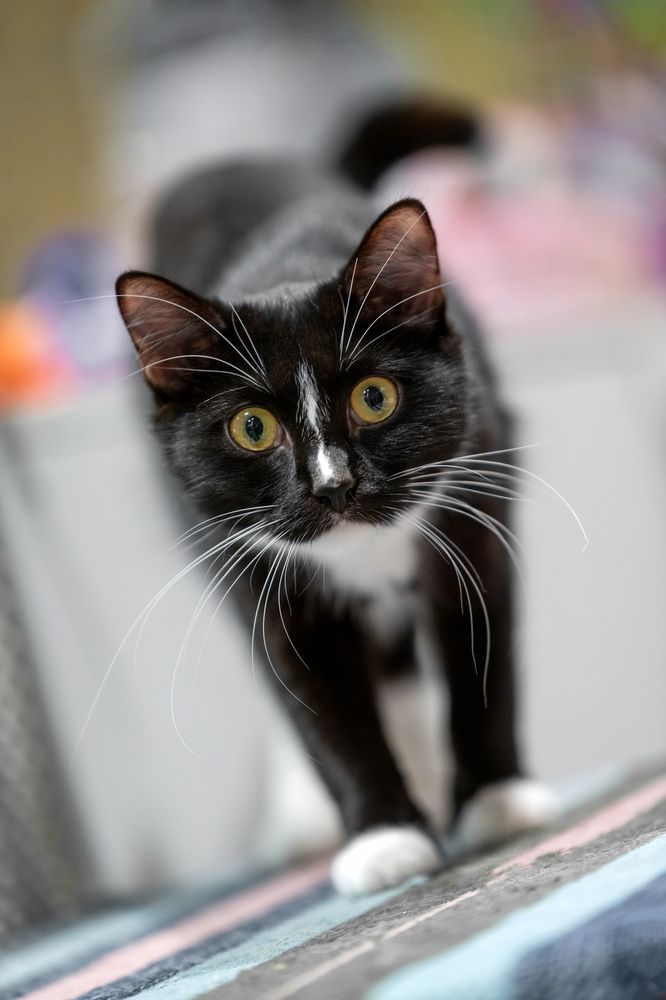 Photograph by Сергей Газизов