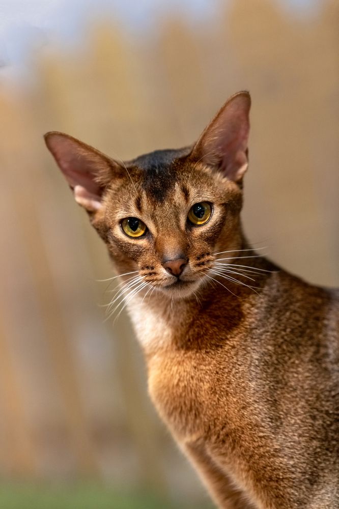 Photograph by Сергей Газизов