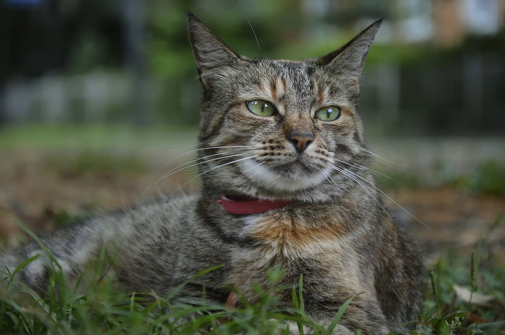 Photograph by Алексей Парамонов