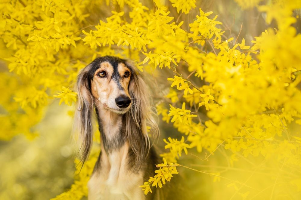 Photograph by Adéla Kovaříková