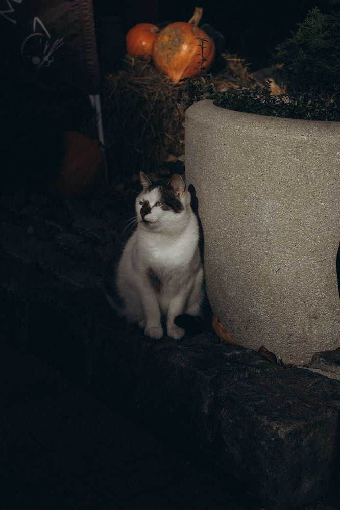 Photograph by Сергей Кутьин