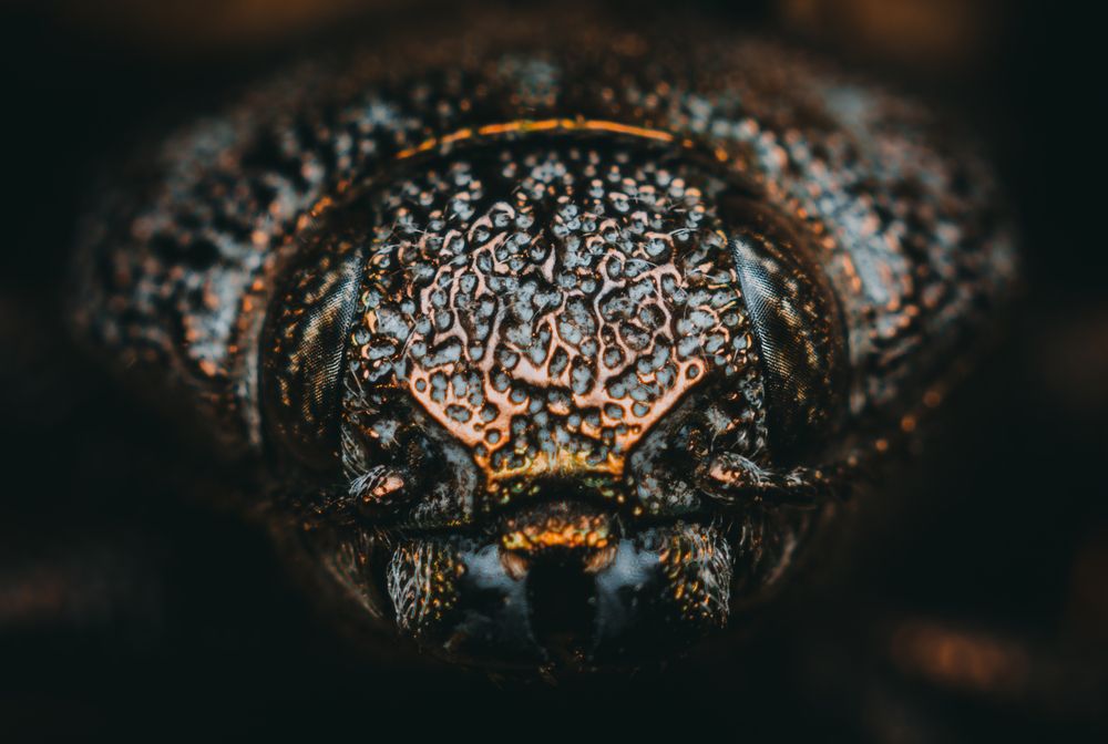 Photograph by Максим Юрлов