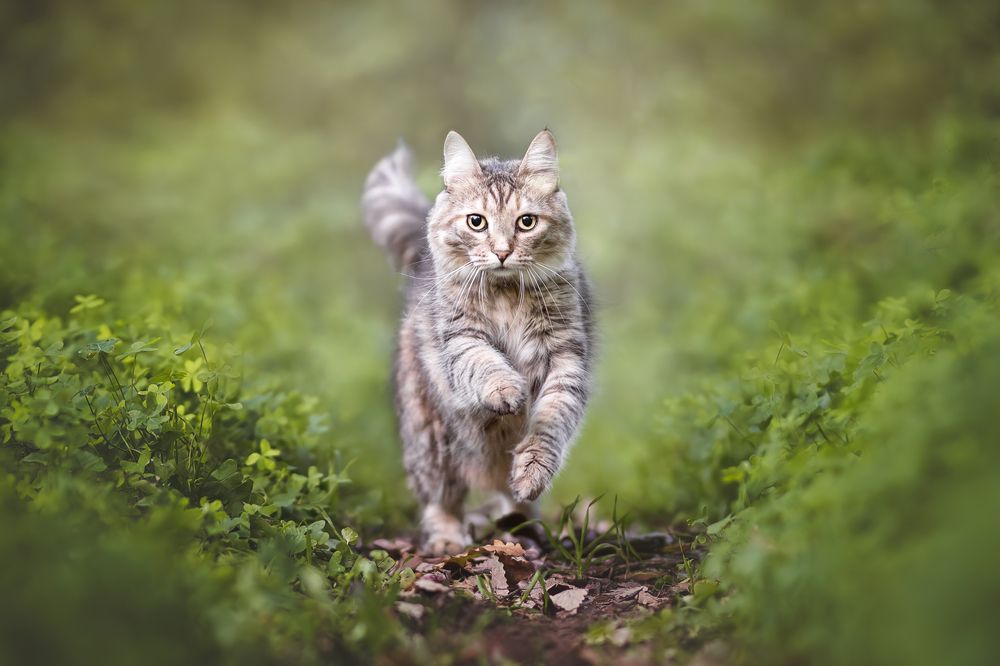 Photograph by Leticia Hernandez