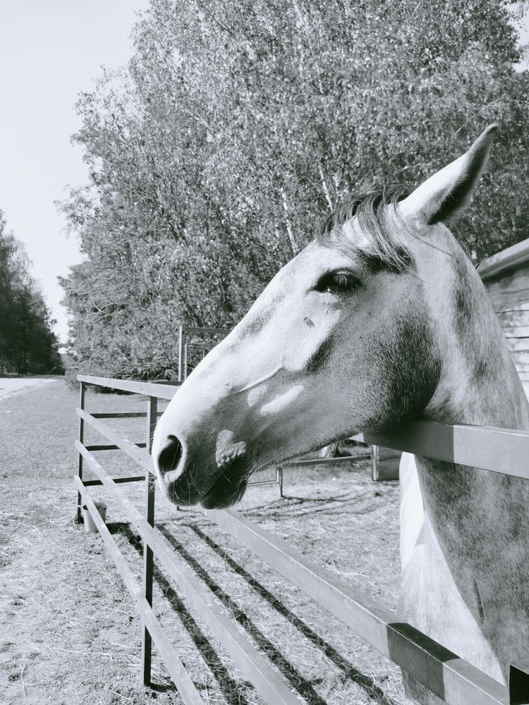 Фотография автора Наталья Драгун