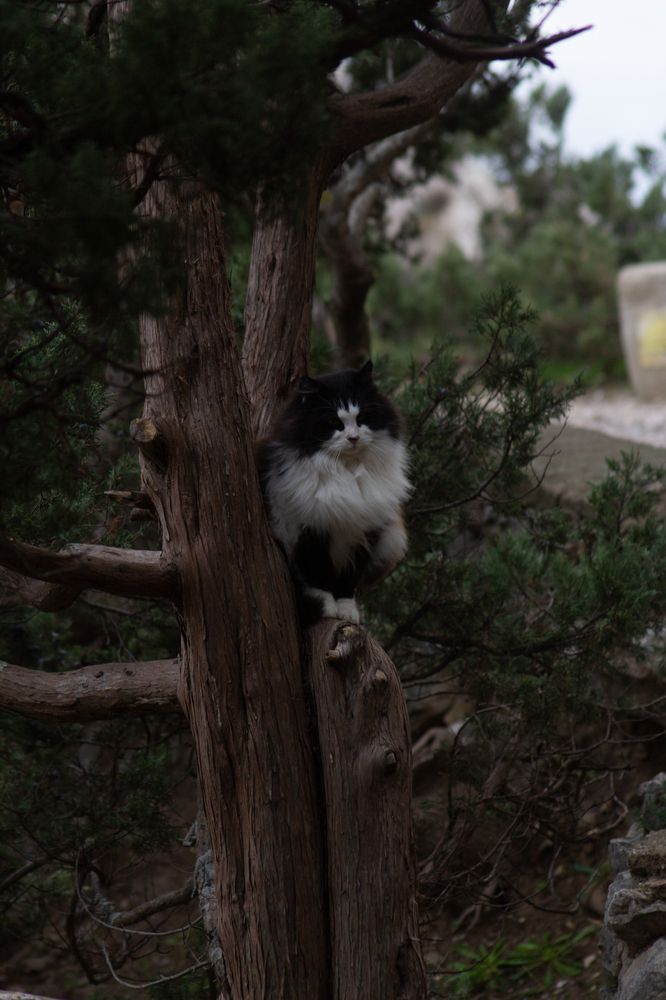 Photograph by Анна Лукина