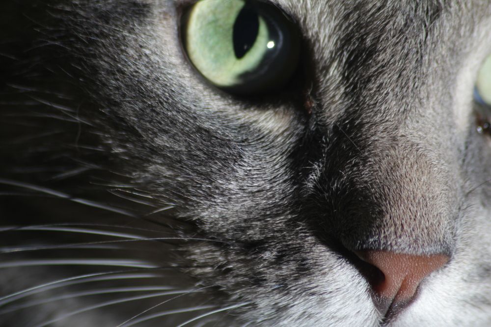 Photograph by Анна Лукина