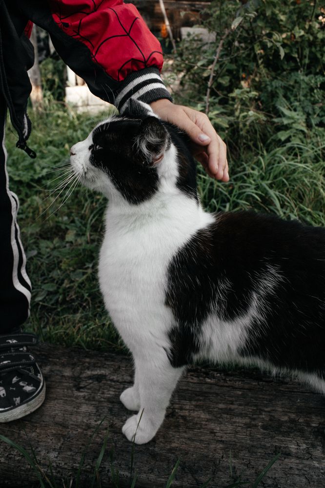 Photograph by Анна Лукина