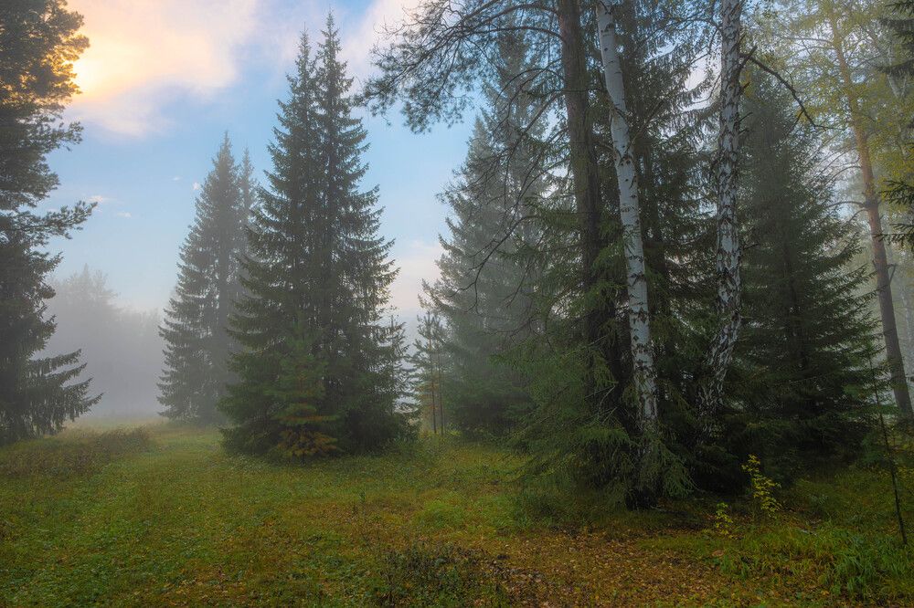 Photograph by Манаков Илья