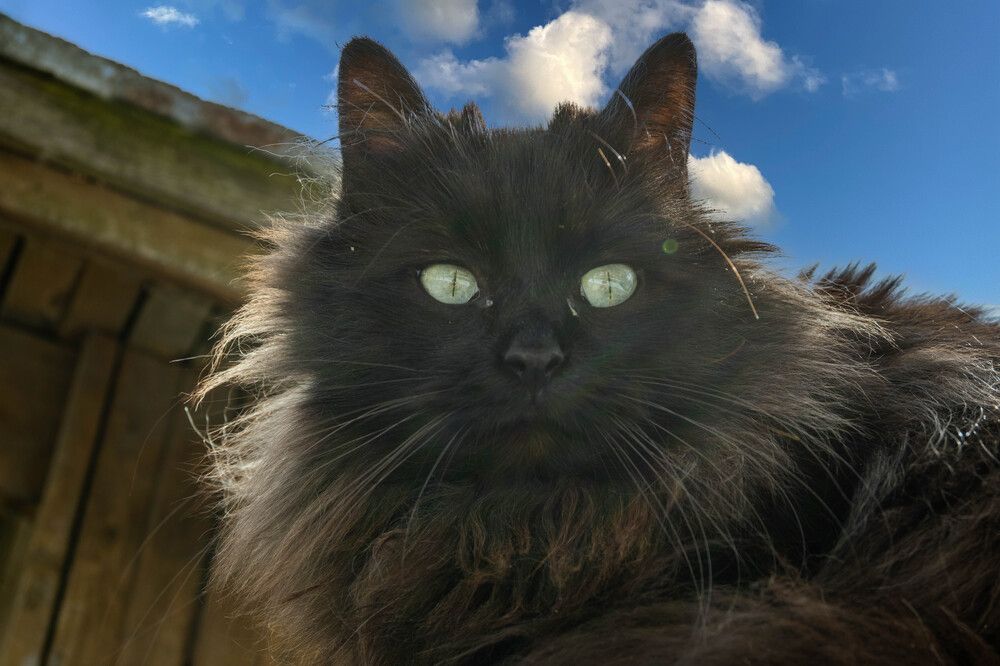 Фотография автора Виталий Дузь