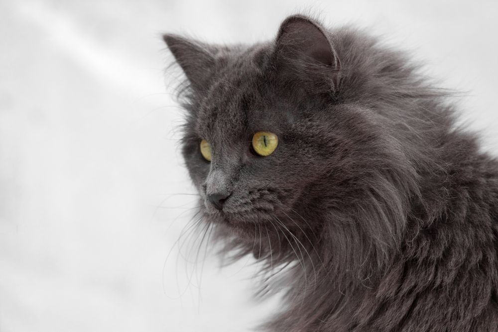 Photograph by Александр Канцур